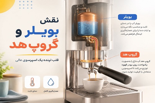 نقش بویلر و گروپ هد